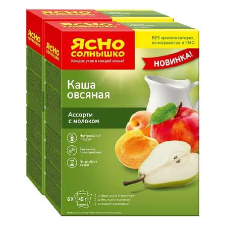 Каша овсяная Ясно Солнышко Ассорти №16 с молоком 2 упаковки по 270г