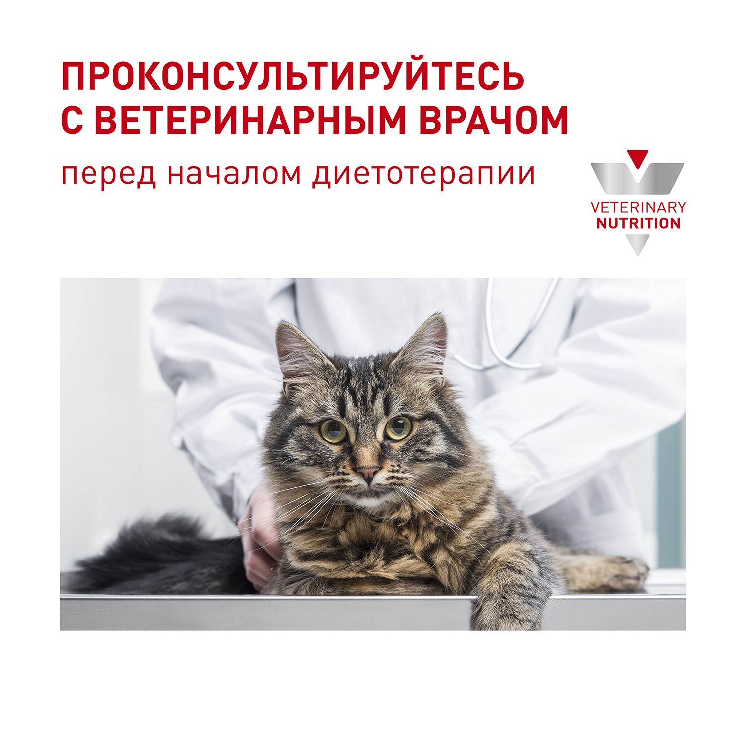 Корм для кошек ROYAL CANIN Mature Consult старше 7лет не имеющих видимых признаков старения 0.4кг - фото 7