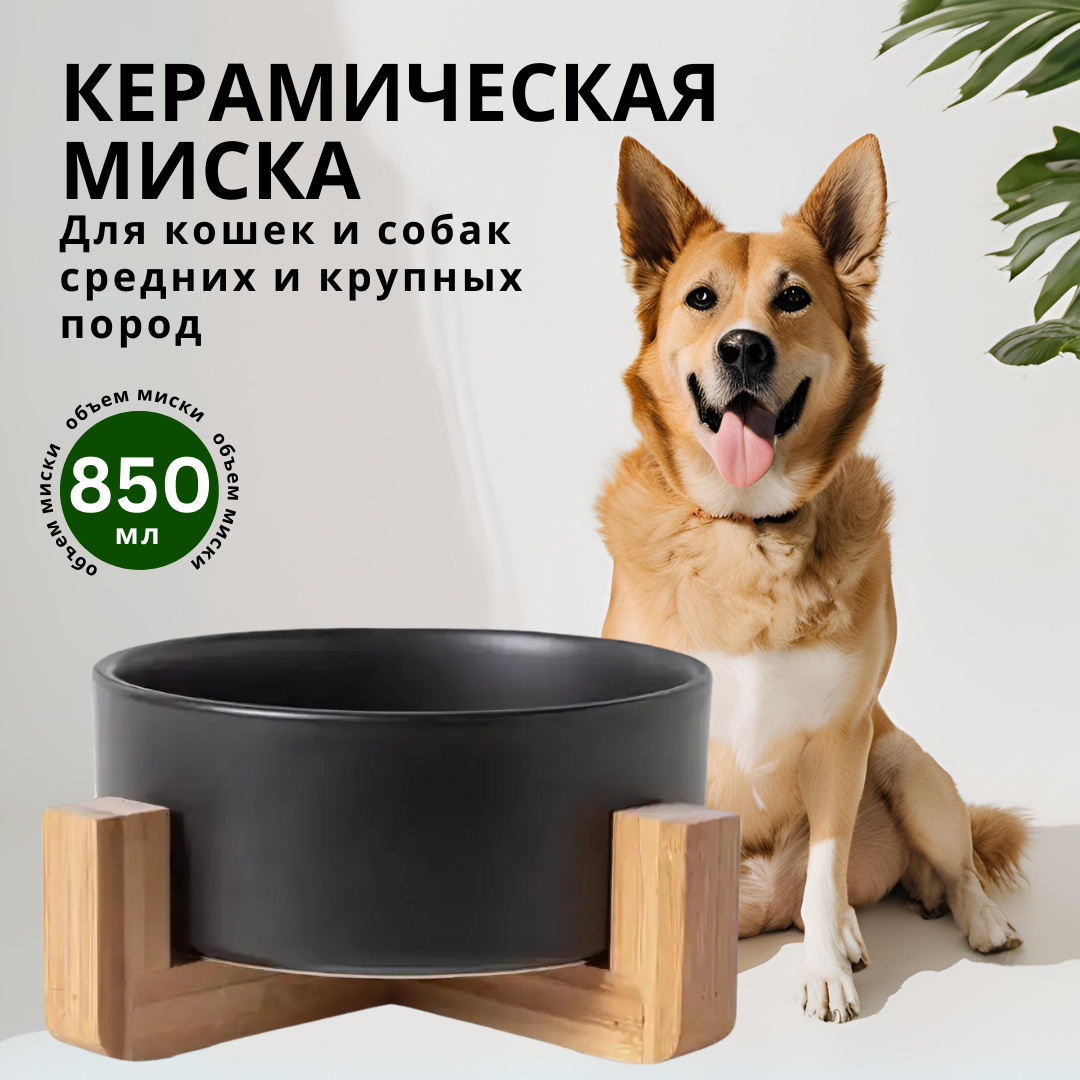 Миска для животных ZDK ZooWell Aura 850мл керамика цвет черный - фото 1