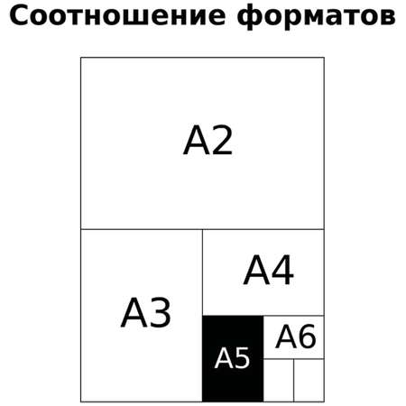 Набор тетрадей 4 шт BG клетка