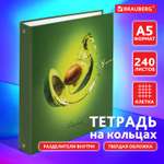 Тетрадь на кольцах Brauberg со сменным блоком для учебы А5 240 листов