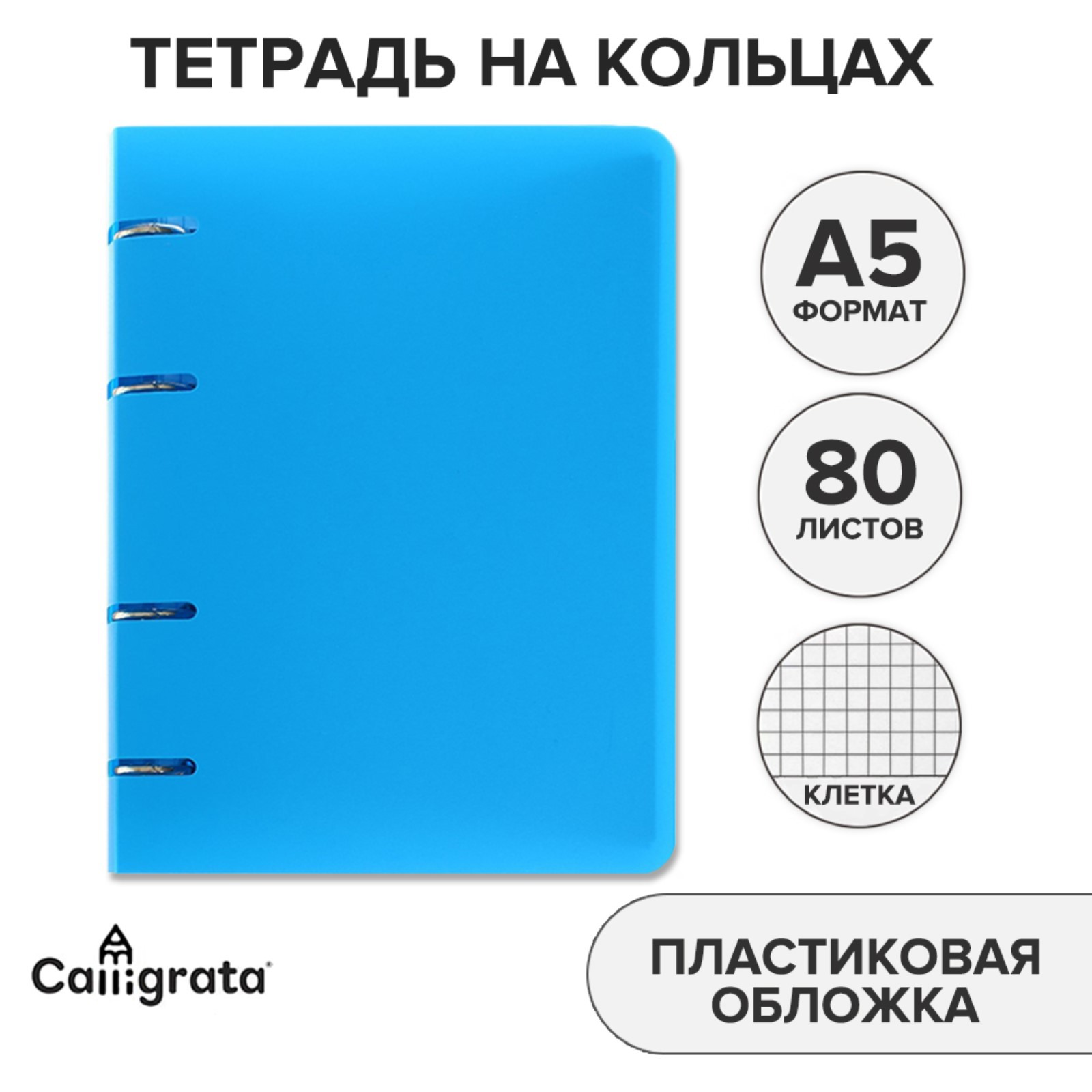 Тетрадь на кольцах Calligrata A5 80 листов в клетку Голубая пластиковая обложка блок офсет - фото 2