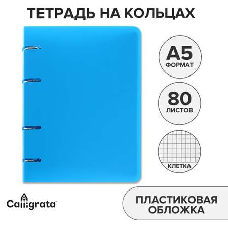 Тетрадь на кольцах Calligrata A5 80 листов в клетку Голубая пластиковая обложка блок офсет