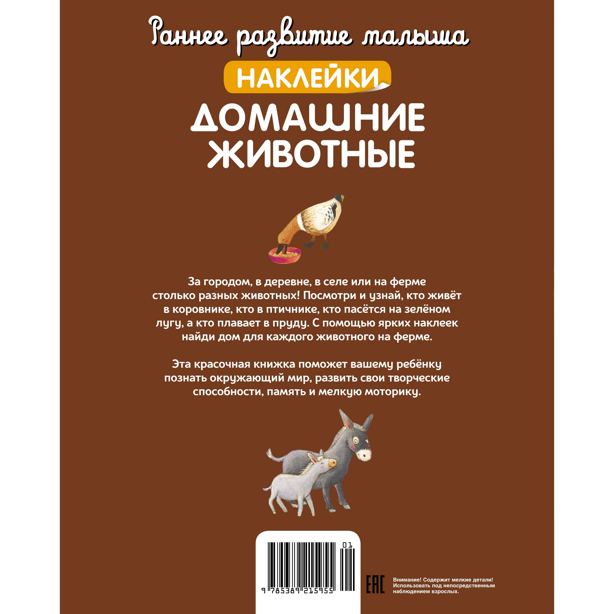 Книга Домашние животные купить по цене 153 ₽ в интернет-магазине Детский мир