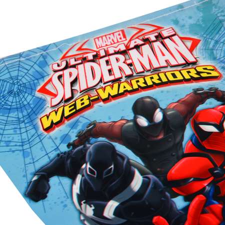 Гирлянда Decorata Party Spiderman 1505-1611