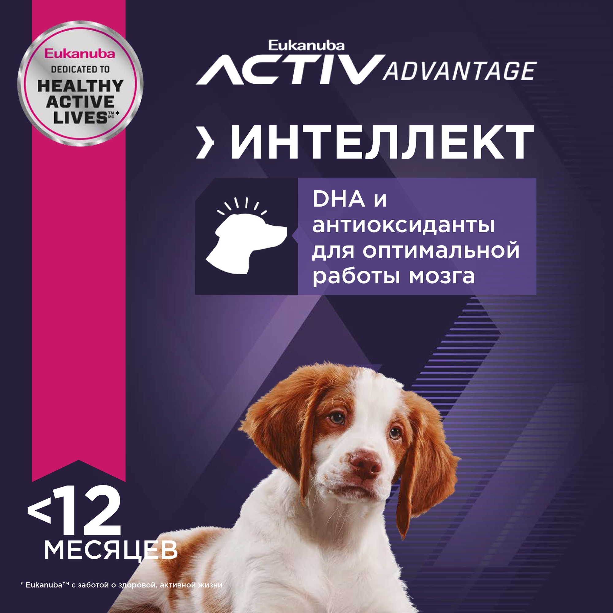 Сухой корм для собак Eukanuba 1 кг ягненок (полнорационный) - фото 3