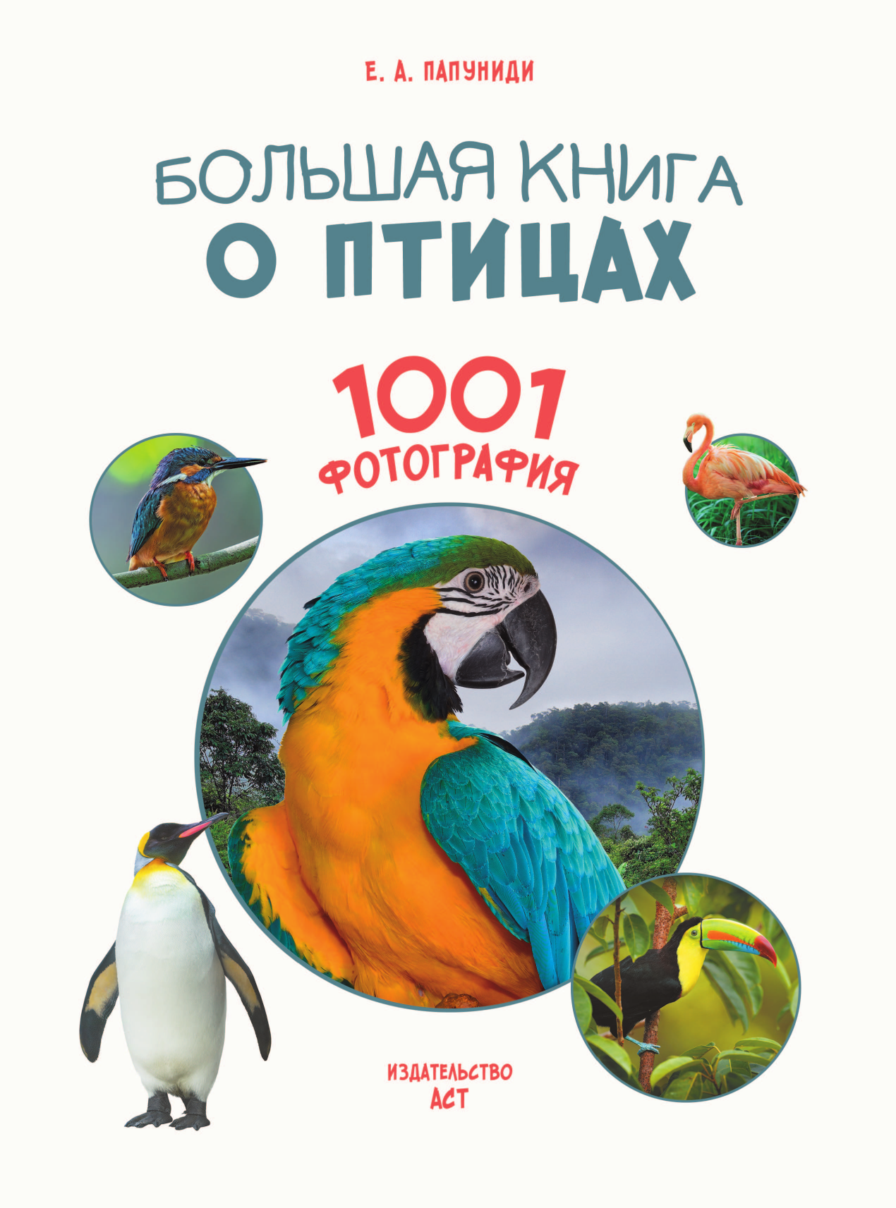 Книга АСТ Большая книга о птицах. 1001 фотография - фото 5