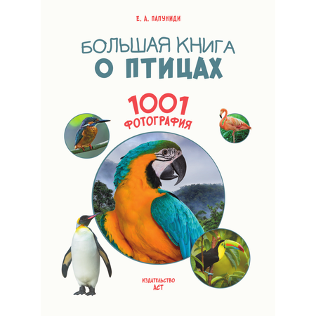 Книга АСТ Большая книга о птицах. 1001 фотография