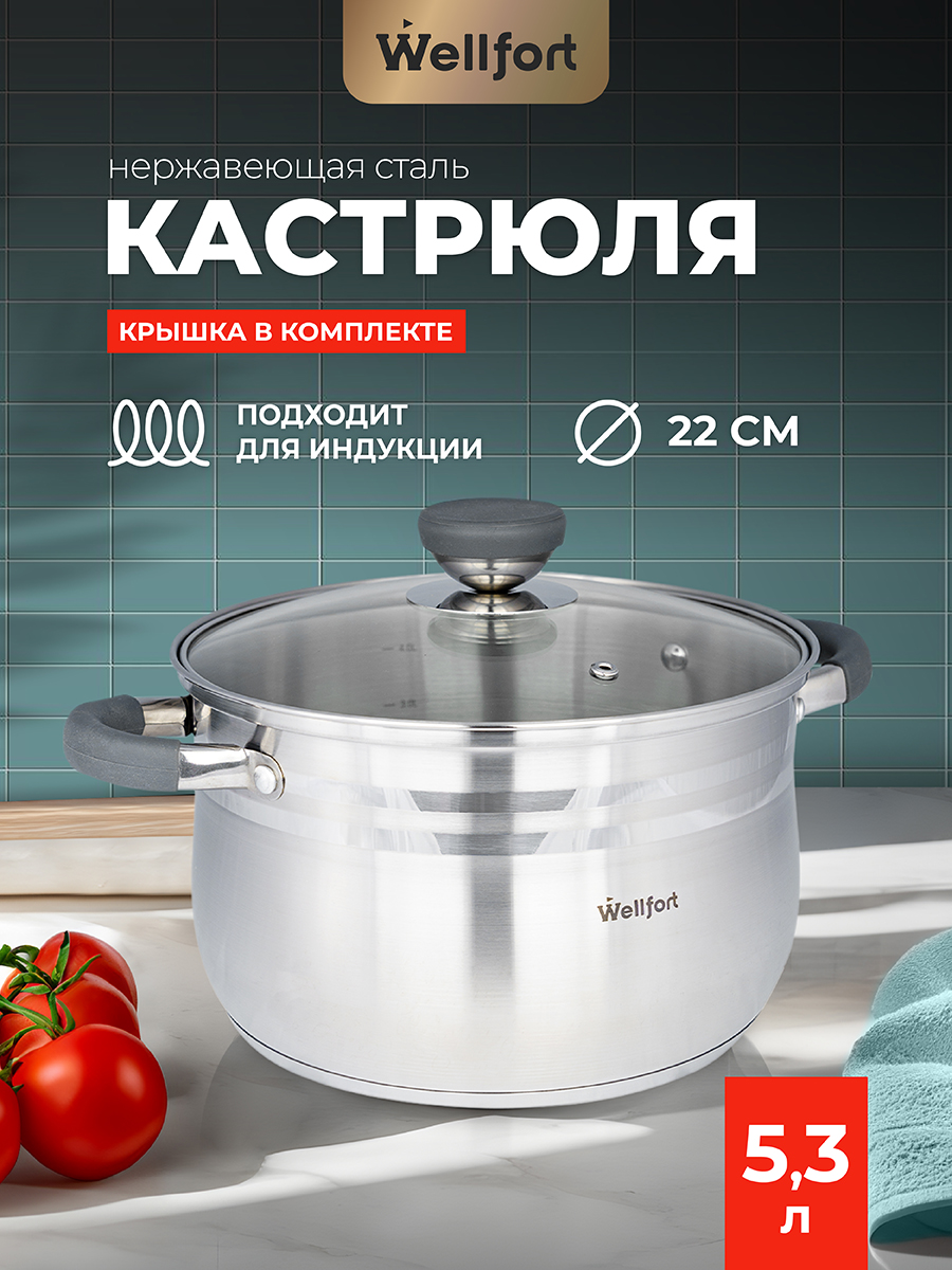 Кастрюля Wellfort 5.3Л нержавеющая сталь купить по цене 2623 ₽ в  интернет-магазине Детский мир