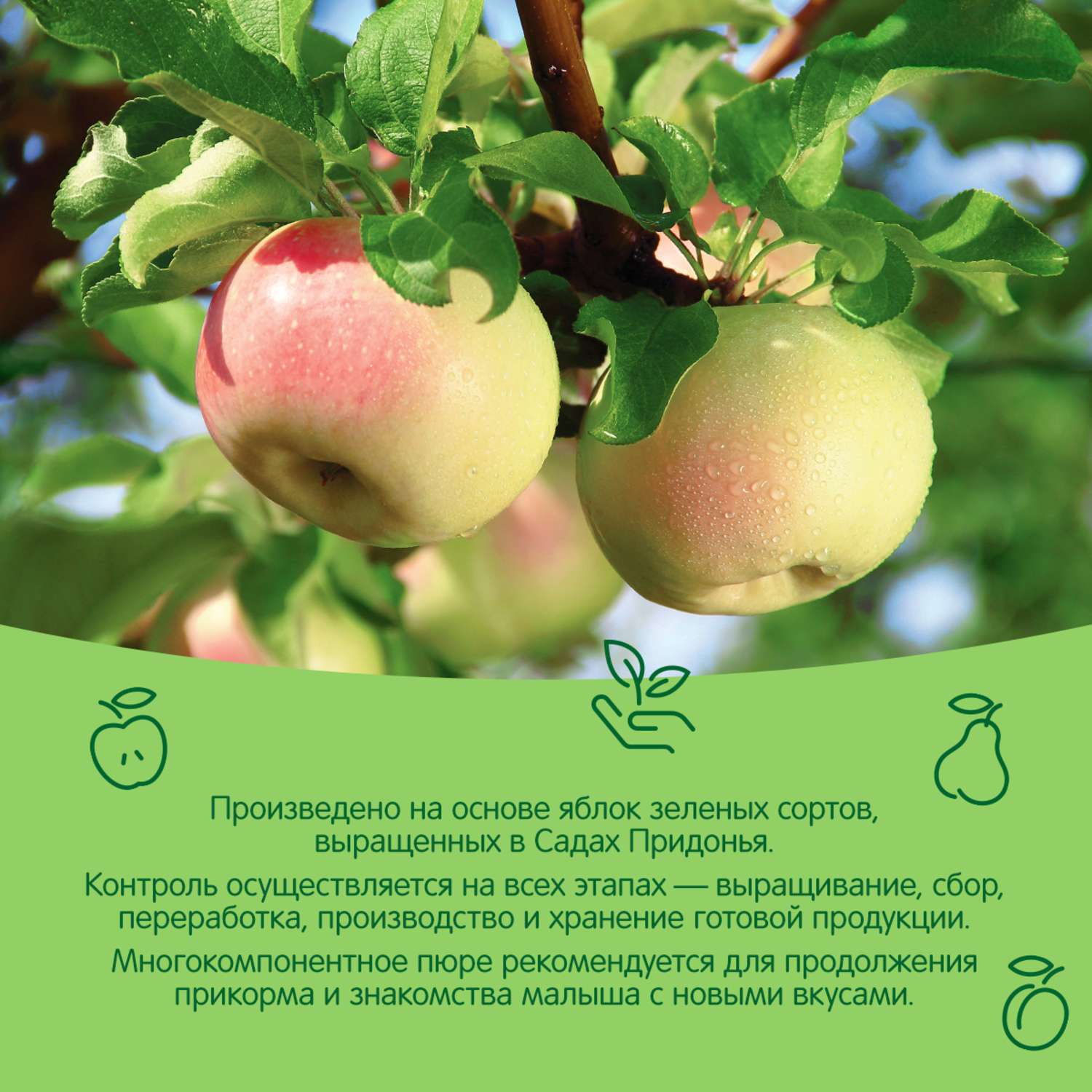 Пюре Сады Придонья яблоко-груша-слива 120г с 5месяцев - фото 4