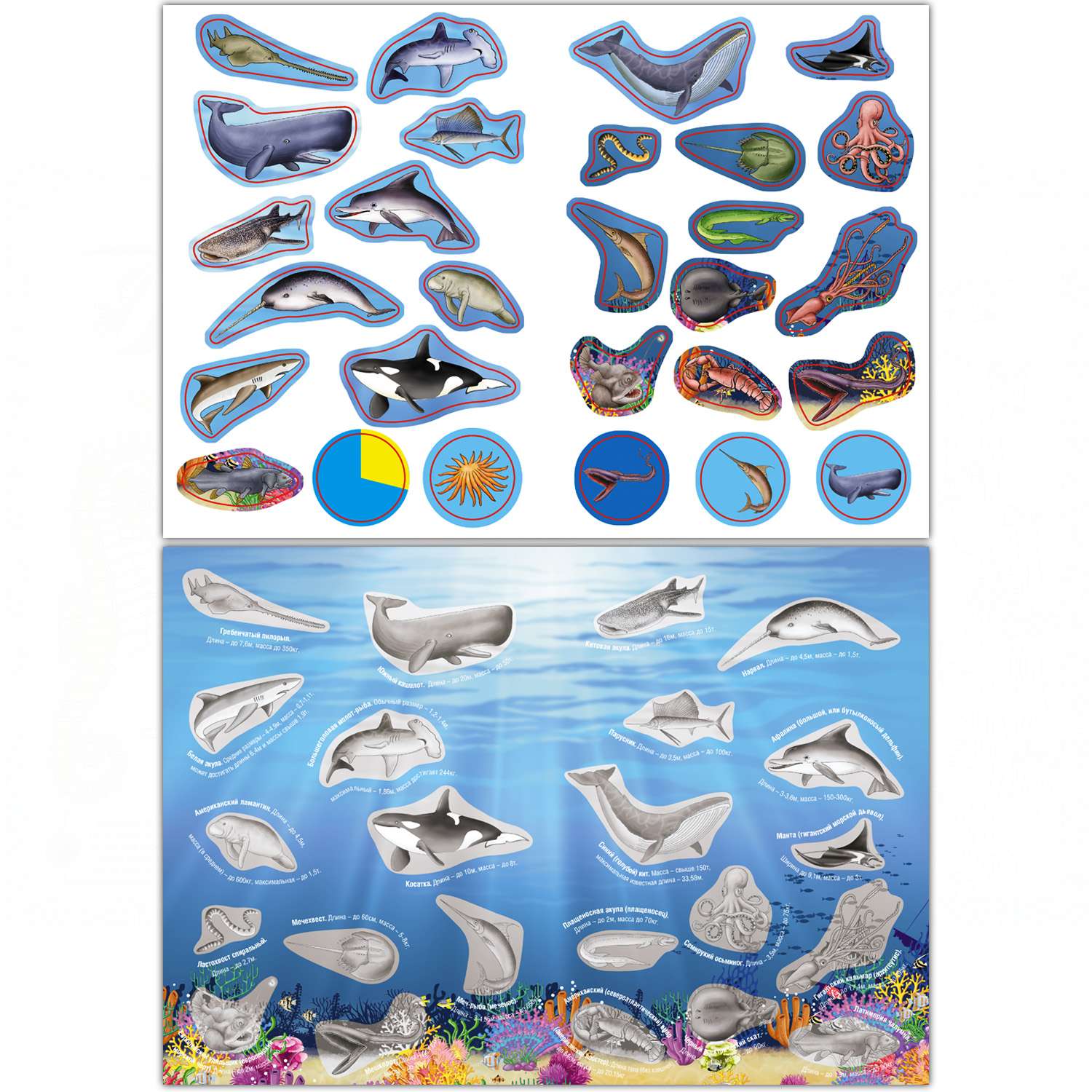 Раскраска с наклейками РУЗ Ко Морские животные - фото 3