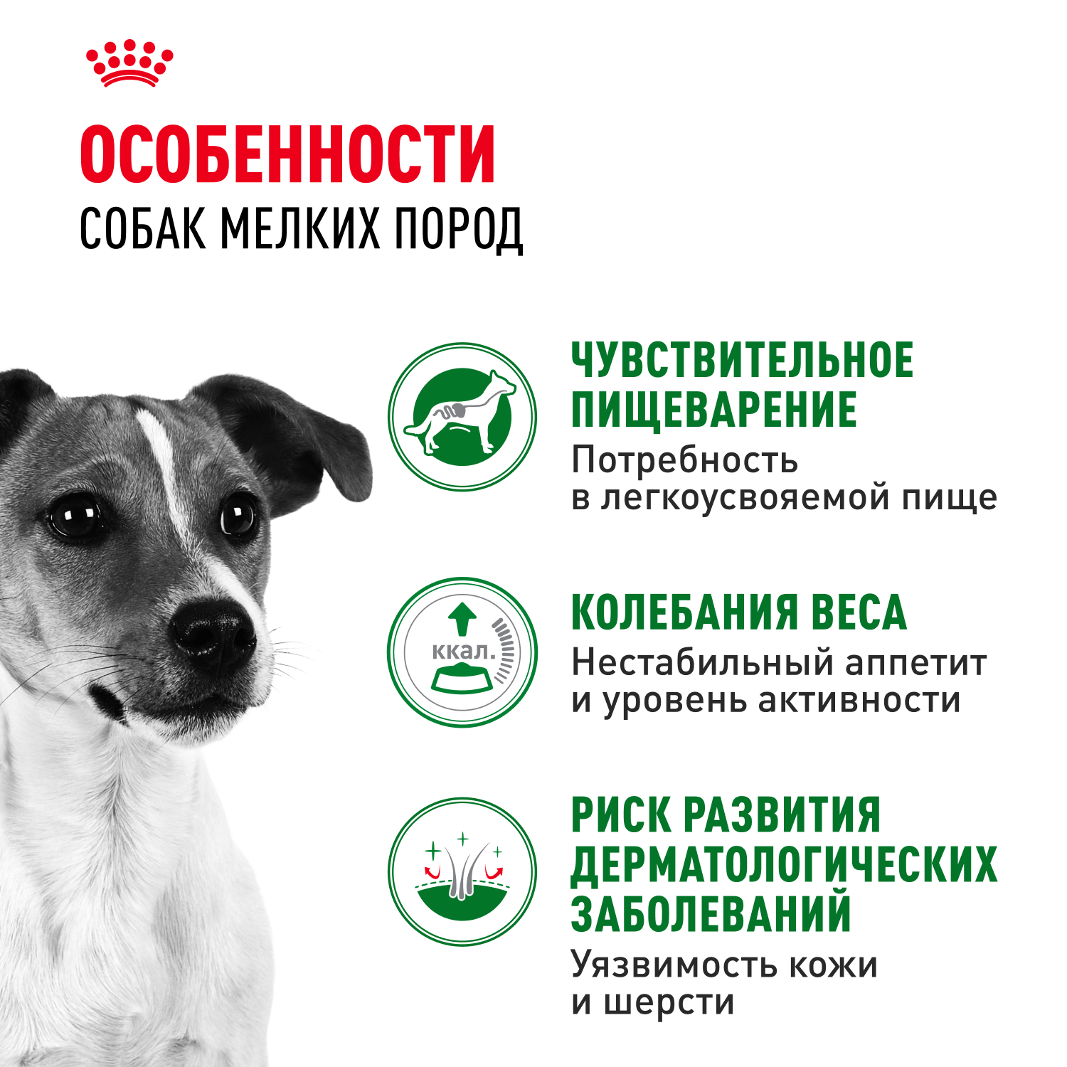 Корм для собак ROYAL CANIN Adult мелких размеров от 10 месяцев кусочки в соусе пауч 85г - фото 3