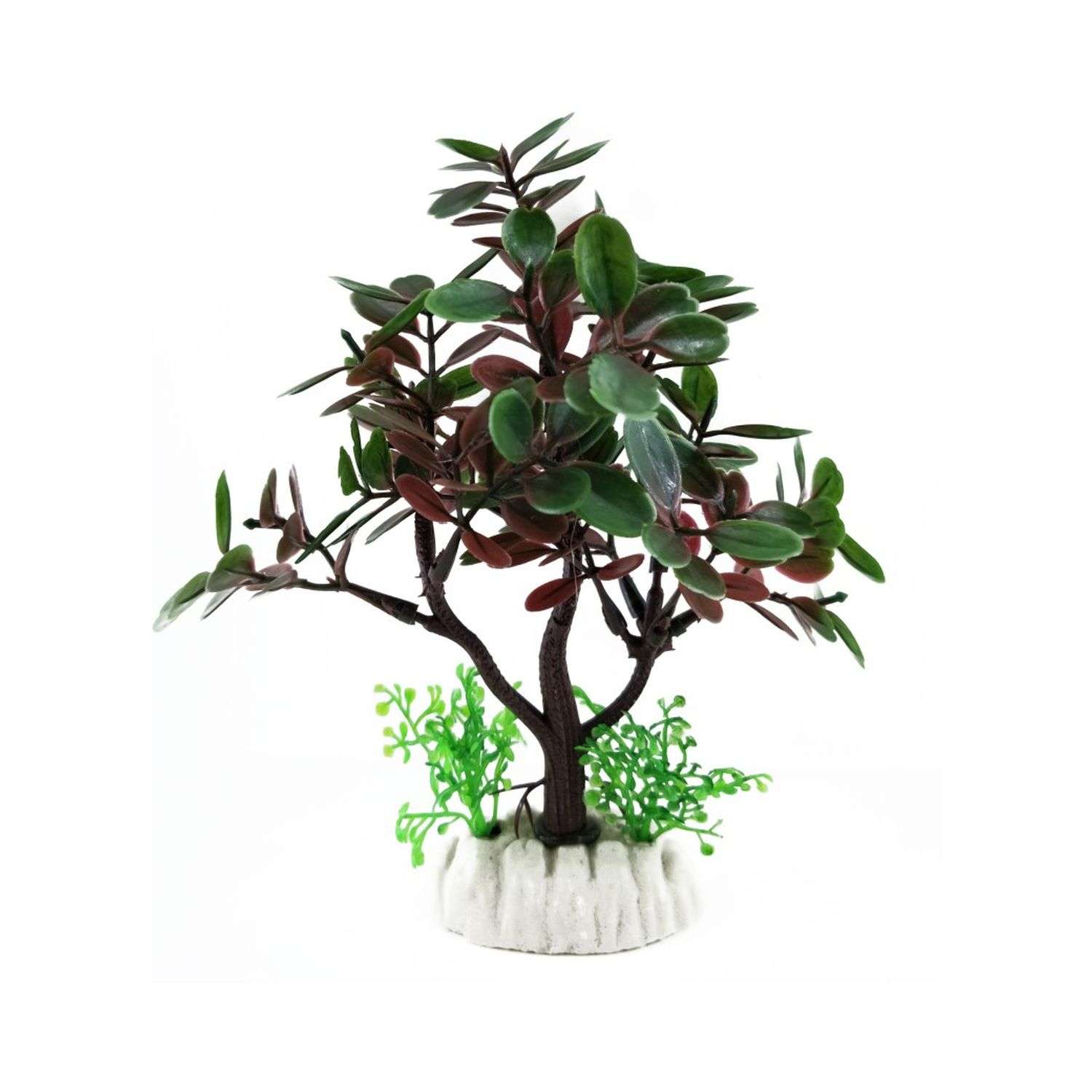 Аквариумное растение Rabizy дерево 6х15 см - фото 1