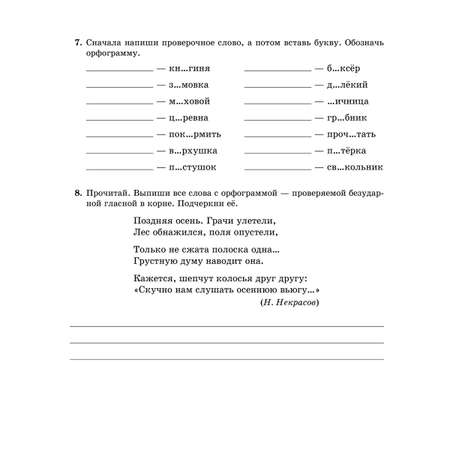 Рабочая тетрадь ИД Литера Все правила русского языка в тренировочных упражнениях с 5 по 6 классы