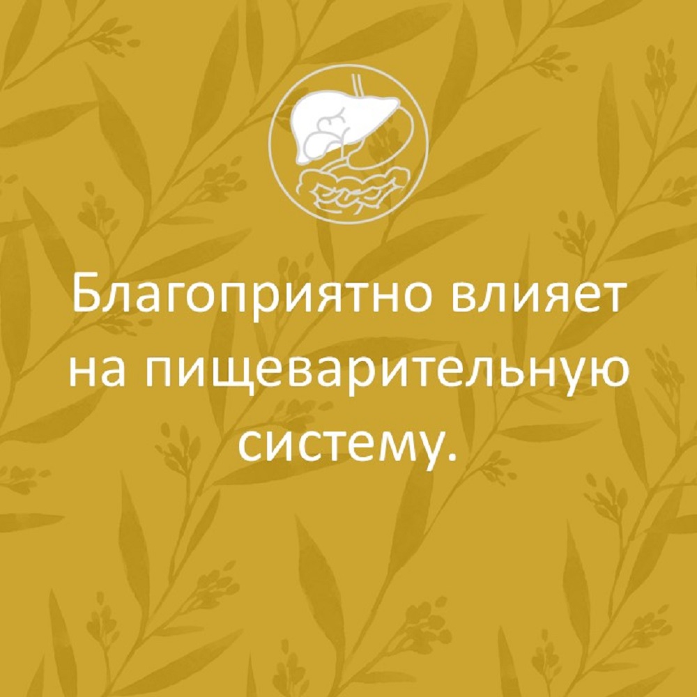 Сироп имбирный ФИТА-ВИТА-МИКС с лимоном и витамином С 290 мл - фото 5