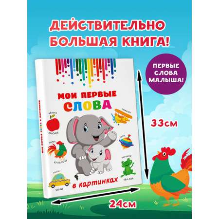 Книга АСТ Мои первые слова в картинках