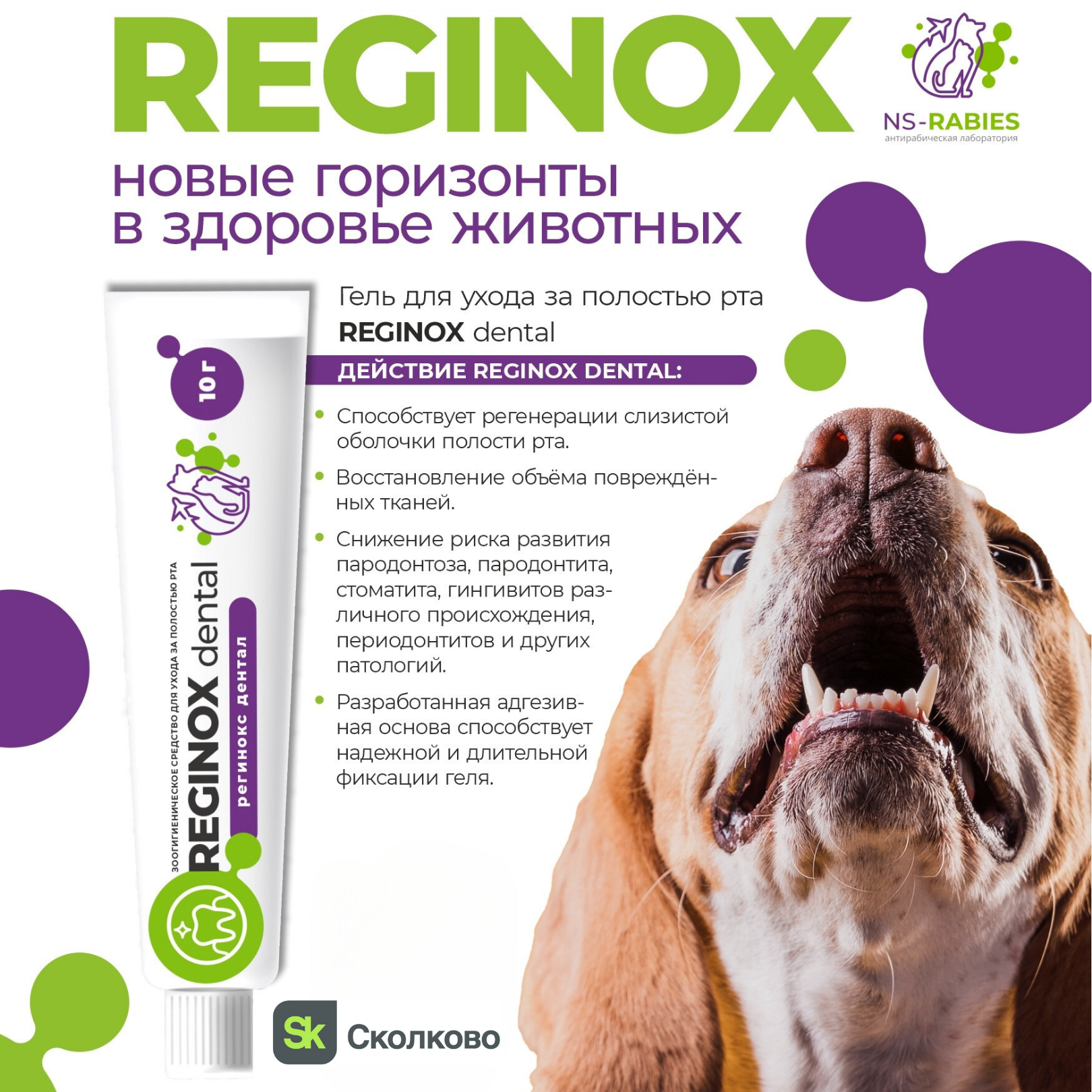 Reginox Dental гель заживляющий для ухода за полостью рта животных (Регинокс Дентал) - фото 6