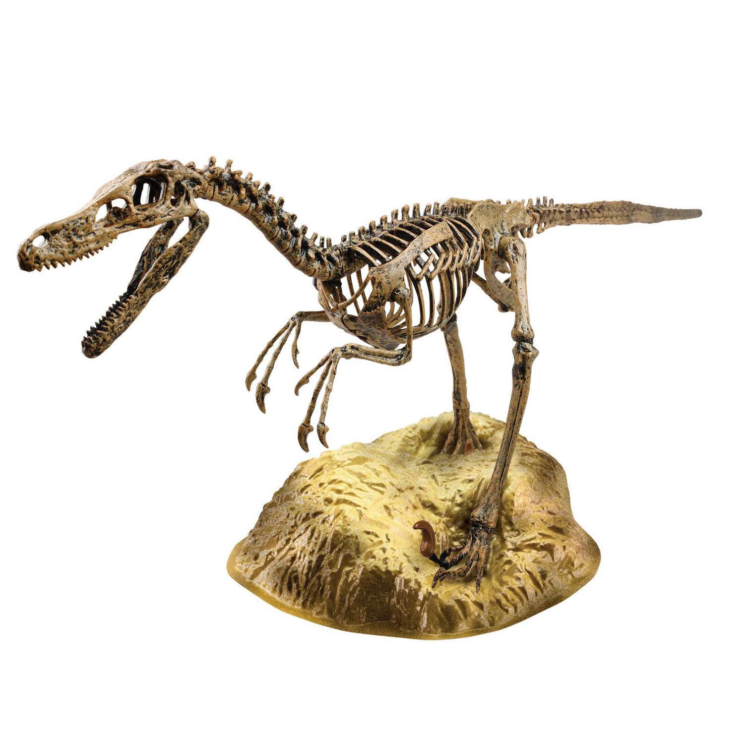 Набор EDU-TOYS скелет динозавра 91см - фото 1