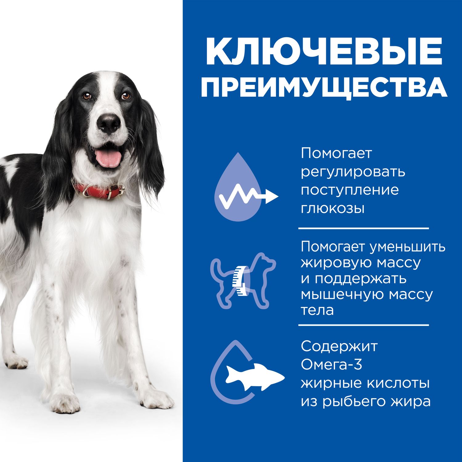 Корм для собак HILLS 12кг Prescription Diet w/d Digestive/Weight Management при диабете с курицей сухой - фото 7