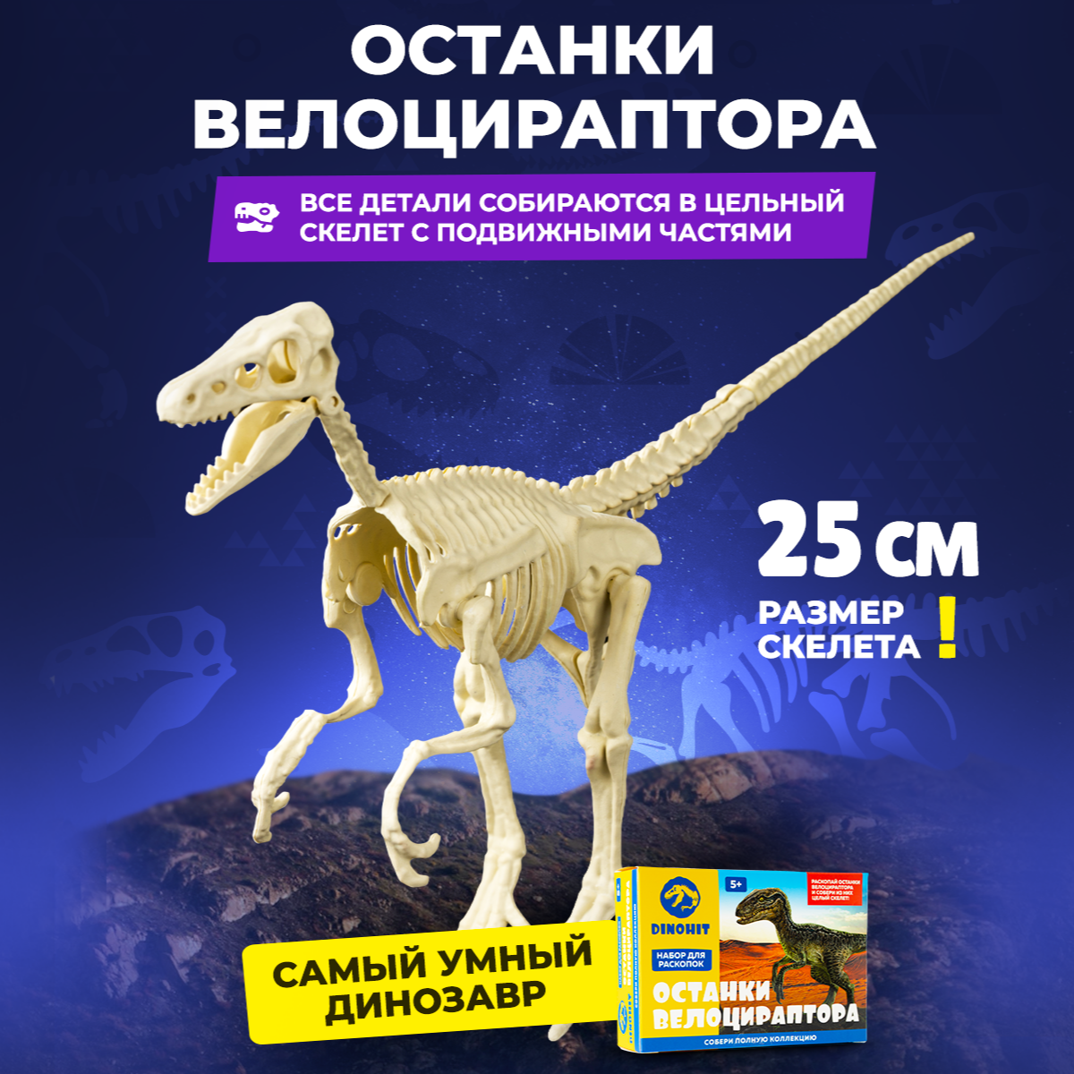 Набор археологический DINOHIT Раскопки для детей 5в1 - фото 5