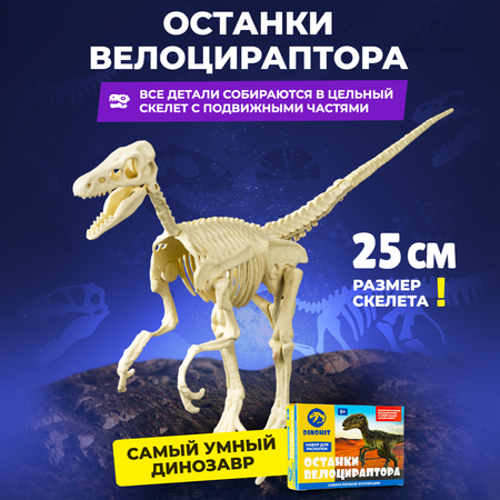 Набор археологический DINOHIT Раскопки для детей 5в1