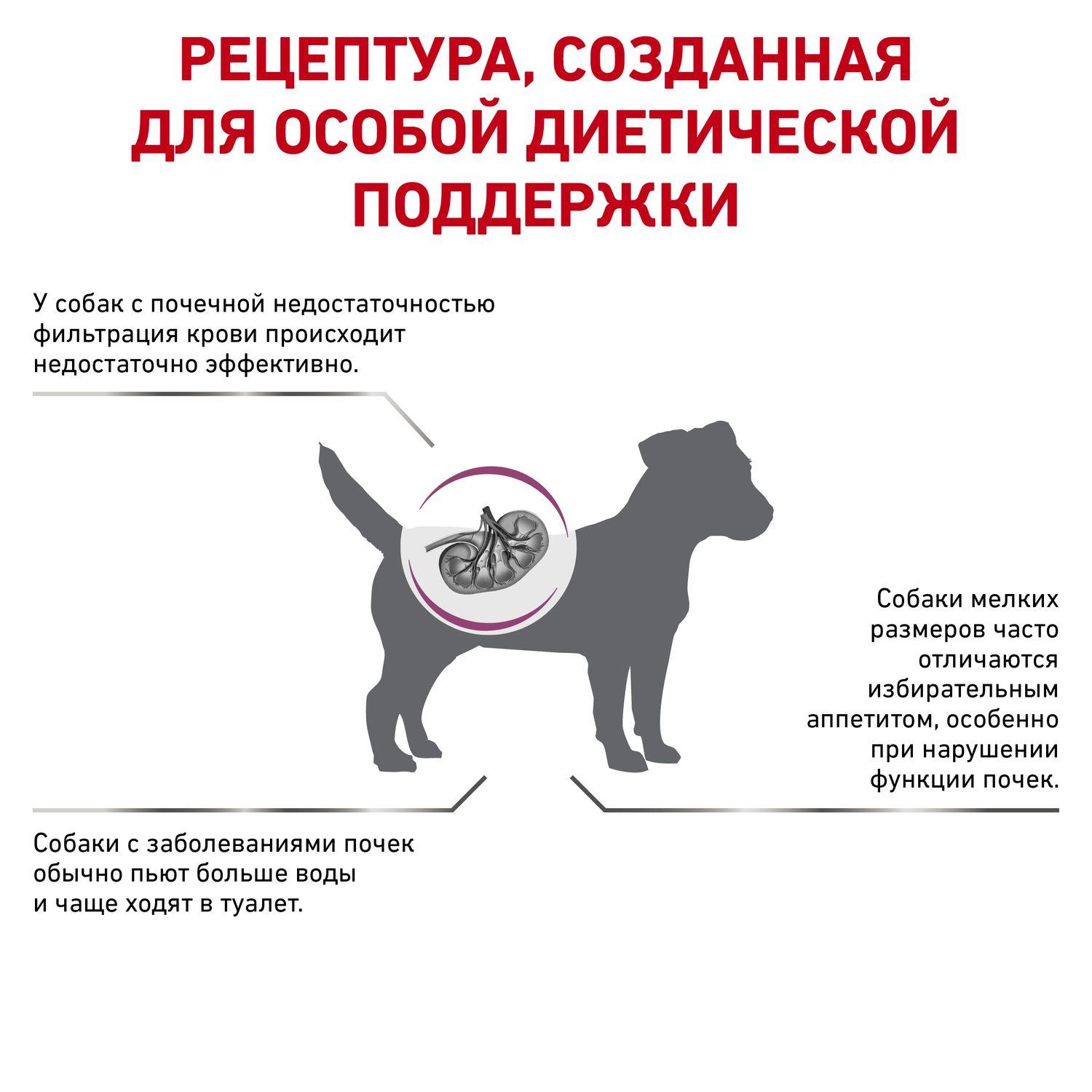 Корм для собак ROYAL CANIN Renal Small Dog с хронической почечной недостаточностью 3.5кг - фото 2