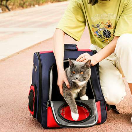 Рюкзак для перевозки животных ZDK синий