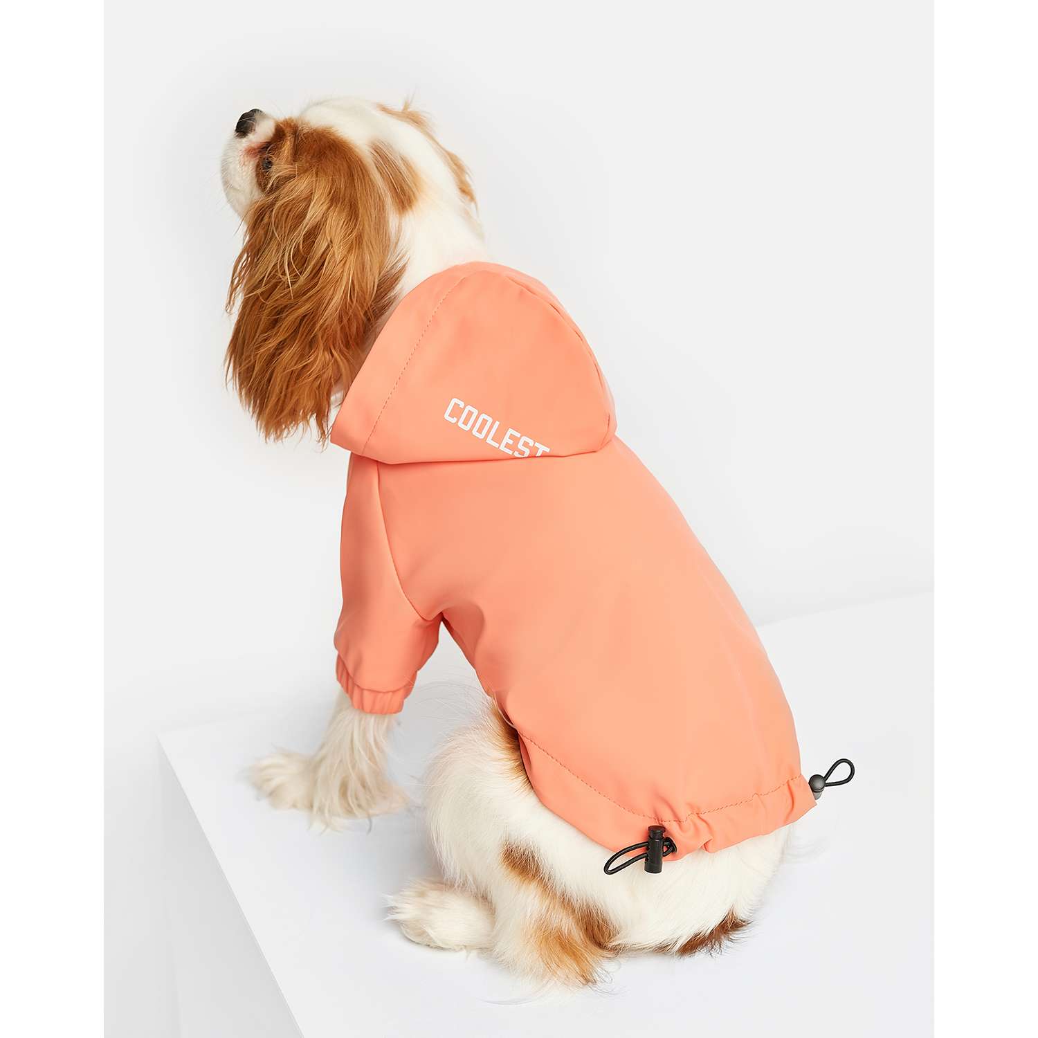 Дождевик-куртка для собак Zoozavr розовый 45 - фото 8