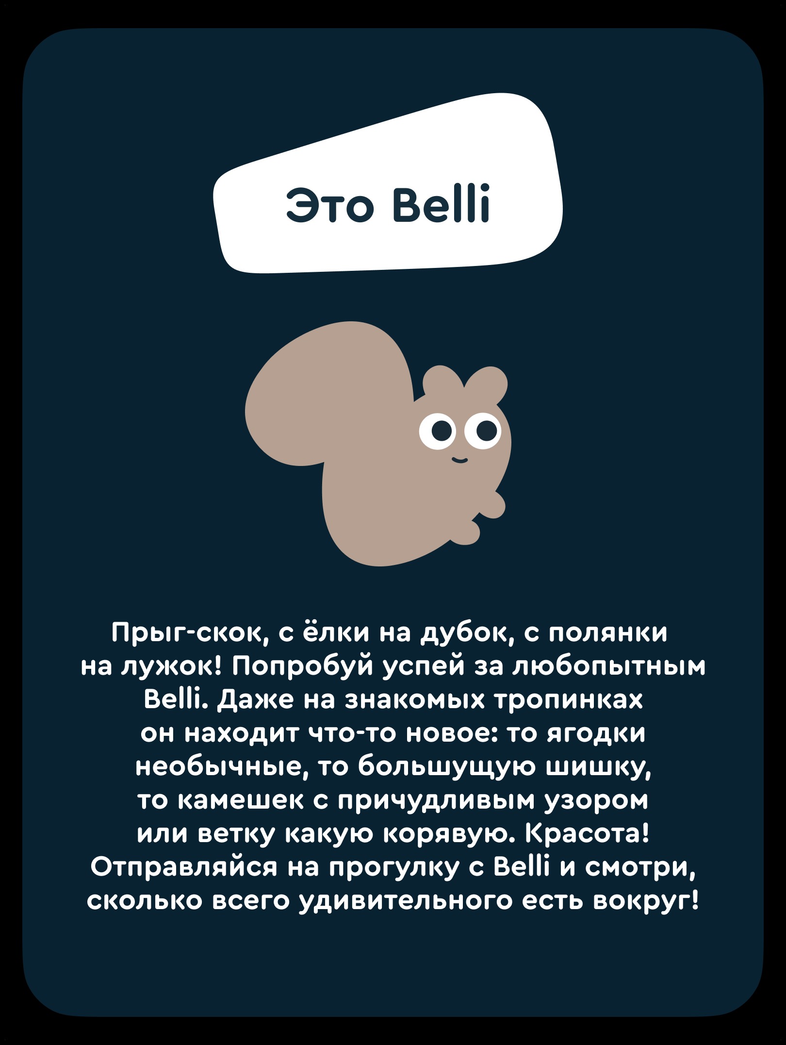 Детский трёхколесный велосипед с ручкой Junion Belli чёрный - фото 9