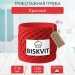 Трикотажная пряжа BISKVIT Красный