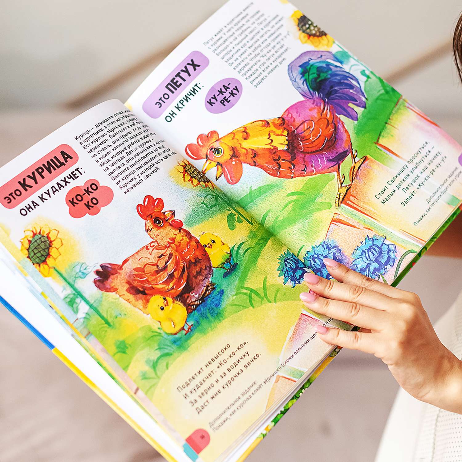 Книга + Развивающие карточки LizaLand Развитие речи для малышей: от 1 года. Набор - фото 11