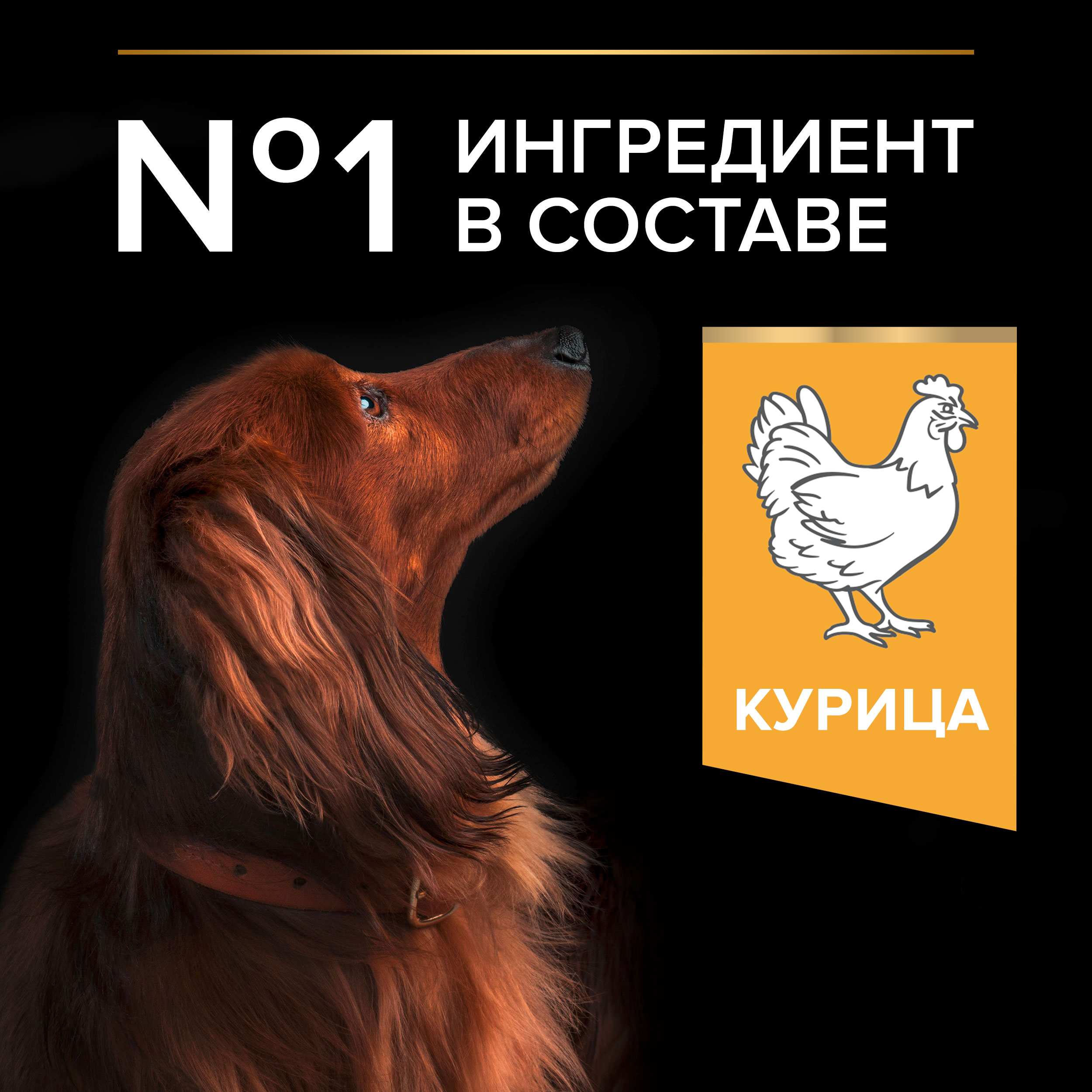 Сухой корм для собак PRO PLAN 0.7 кг курица (для здоровья полости рта, полнорационный) - фото 4