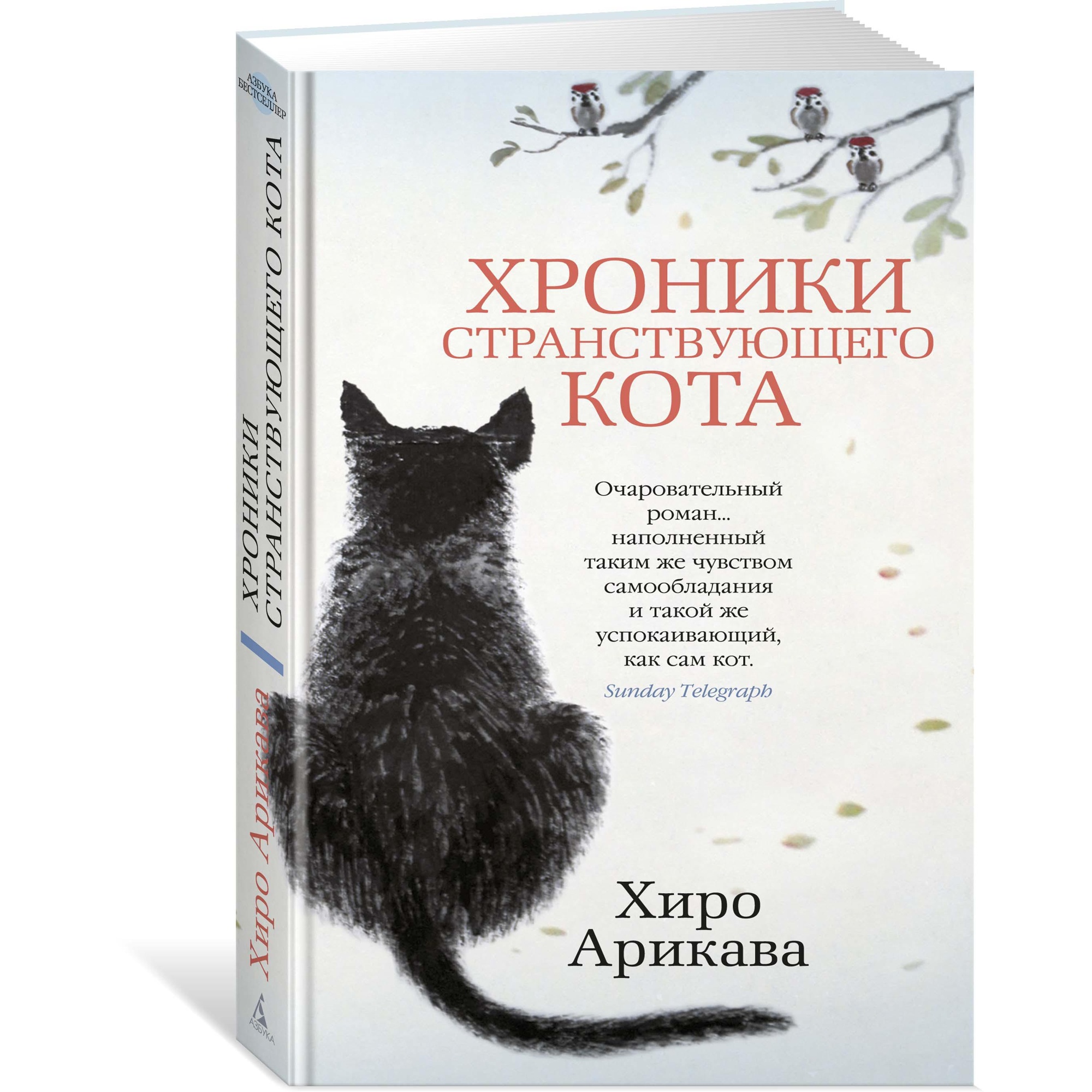 Книга АЗБУКА Хроники странствующего кота - фото 2