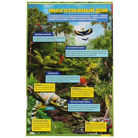 Книга УМка Тропические леса