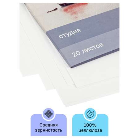 Папка для акварели Гаммa серия Студия 20л А3 200г на м2