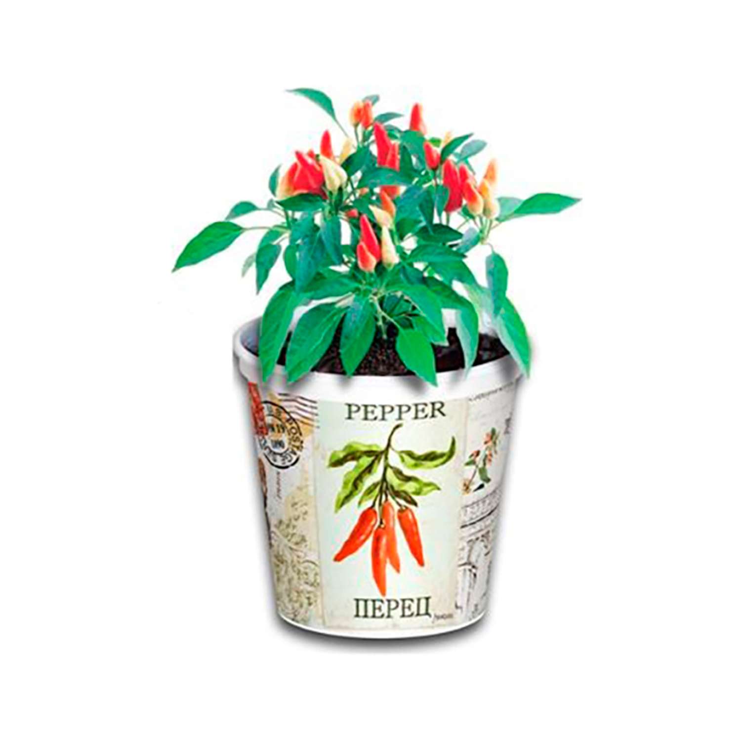 Набор для выращивания растений Rostok Visa Вырасти сам Перец в подарочном горшке - фото 5