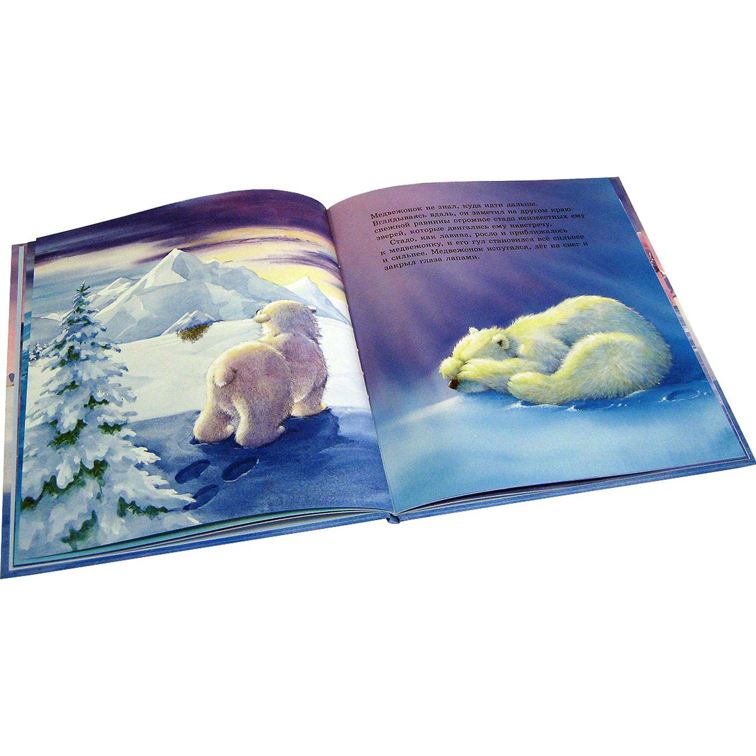 Книга Добрая книга Как медвежонок солнце искал - фото 7