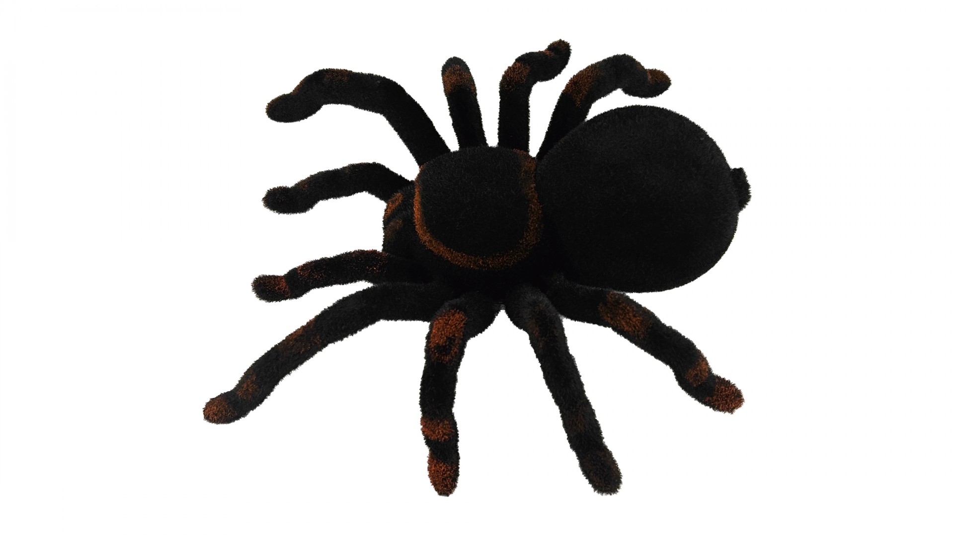 Робот паук Cute Sunlight Toys Tarantula - фото 2