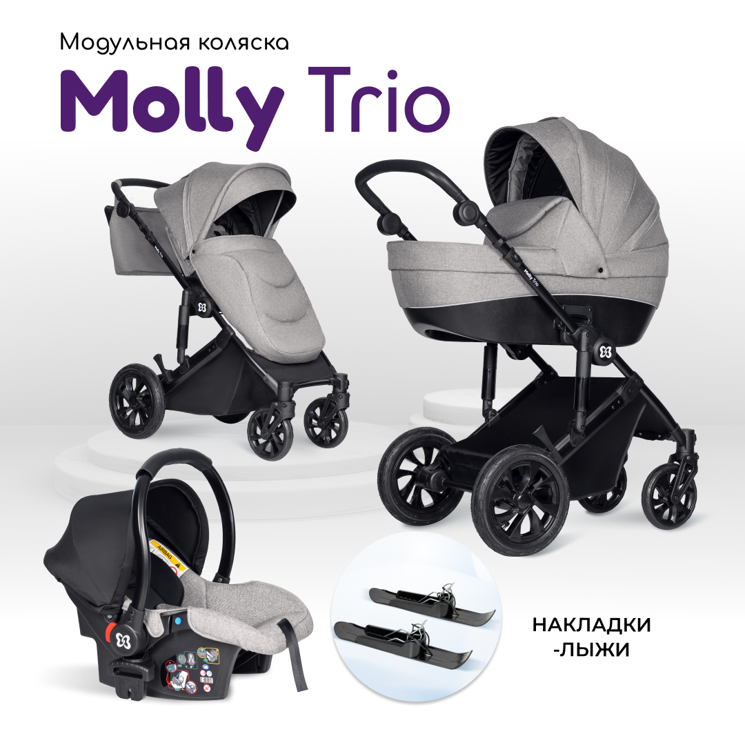 Модульная коляска 3 в 1 Farfello Molly Trio купить по цене 44405 ₽ в  интернет-магазине Детский мир