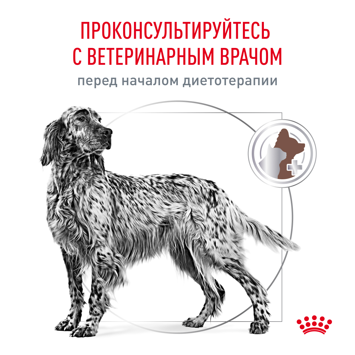 Корм для собак ROYAL CANIN Gastro Intestinal Gl25 при нарушении пищеварения 15кг - фото 9