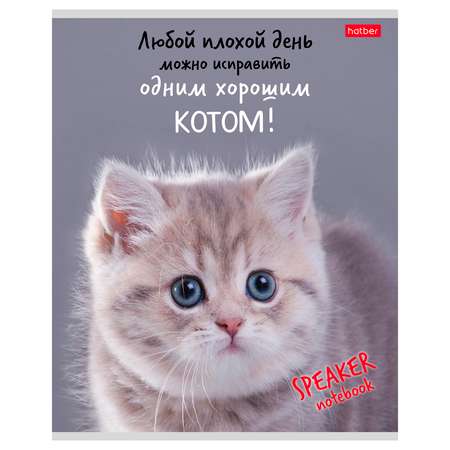 Тетрадь Hatber Кот говорит! А5 Клетка 40л в ассортименте 79697