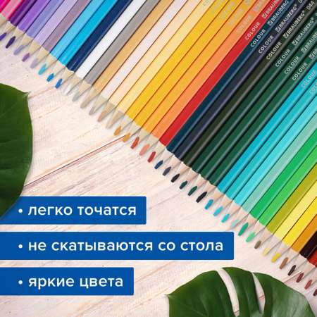 Карандаши цветные Brauberg 50 шт.