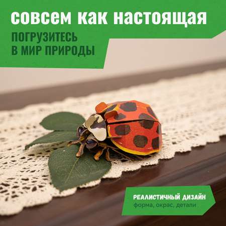 Картонный 3д пазл конструктор Makebug Божья Коровка