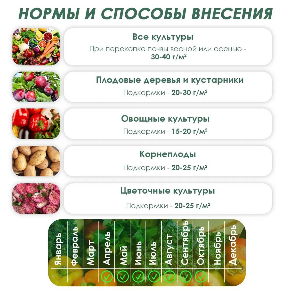 Удобрение Буйские удобрения Калимагнезия 0.9кг - фото 3