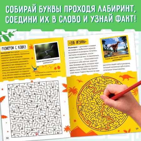 Набор книг Буква-ленд «Лабиринты и факты: Пройди лабиринт и узнай факт!»