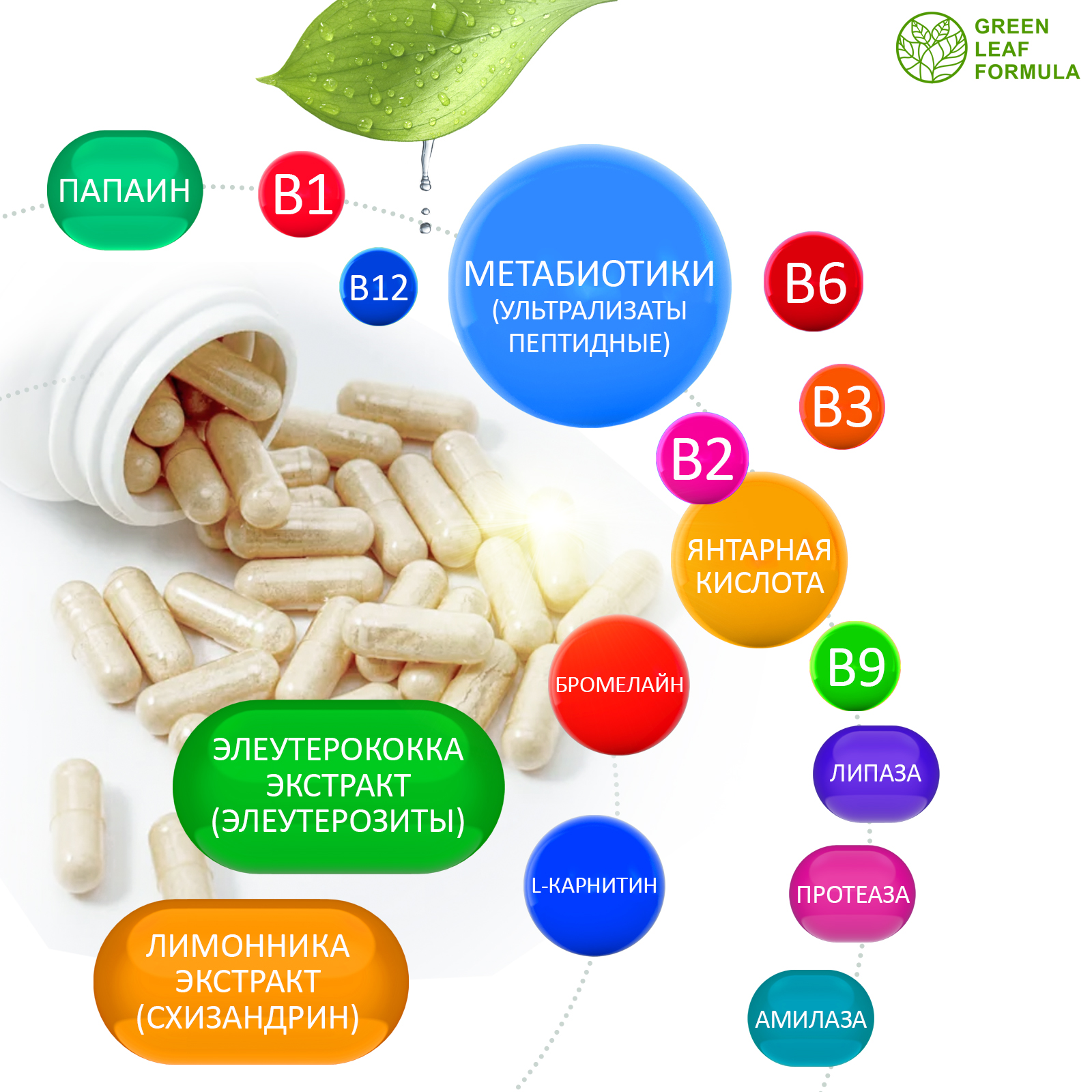 Метабиотик для кишечника Green Leaf Formula матча чай для тонуса витамины для мозга ферменты для пищеварения - фото 4