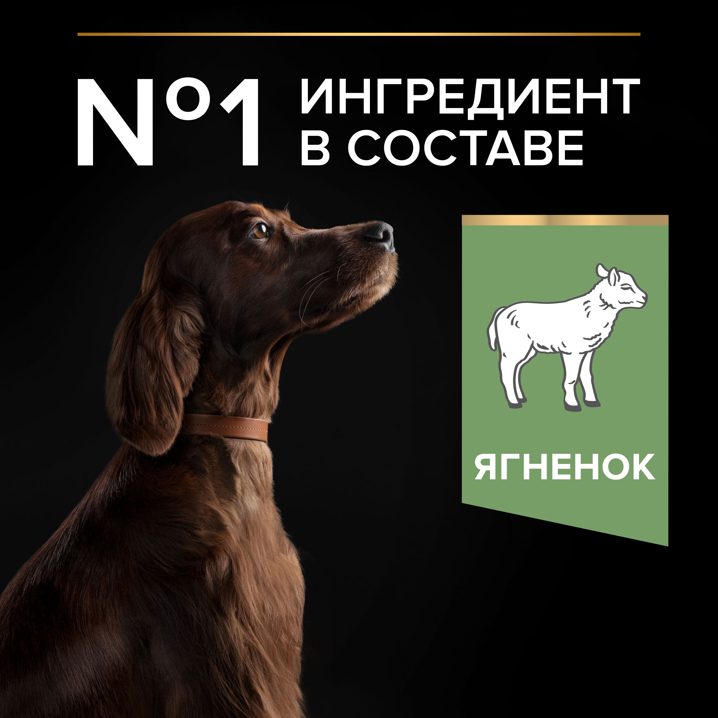Корм для собак PRO PLAN крупных пород с атлетическим телосложением с чувствительным пищеварением с комплексом Optidigest ягненок с рисом 14кг - фото 10
