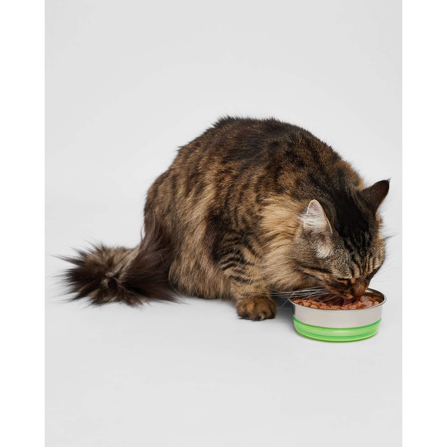 Корм для кошек Вкусная миска 85г говядина - фото 2