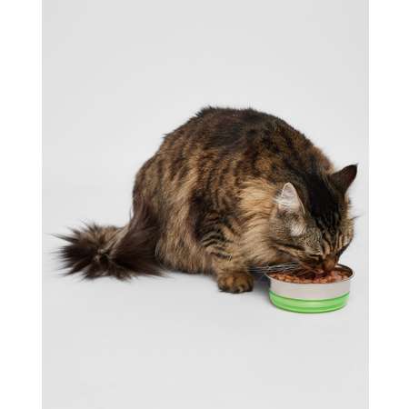 Корм для кошек Вкусная миска 85г говядина
