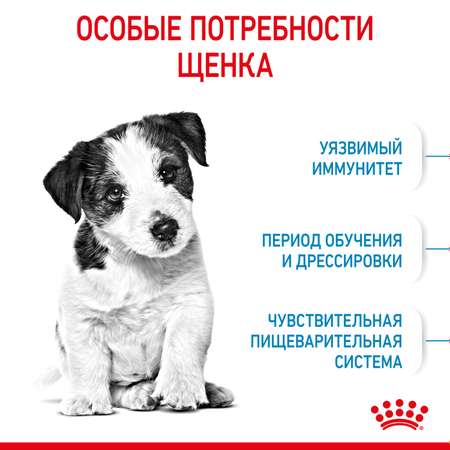 Корм для щенков ROYAL CANIN Puppy мелких пород 800г